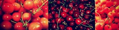 〈左から 佐藤錦・bing cherry・Rainier Cherry〉